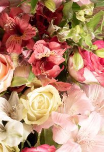A closeup of a bouquet of flowers